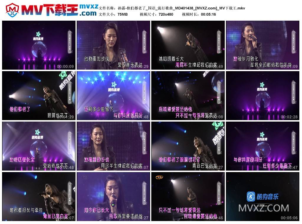 孙露-他们都老了_国语_流行歌曲_MD401438